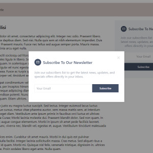 0-newsletter-widget-interface